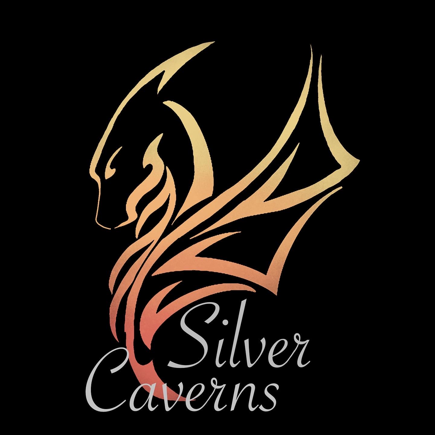 silvercavernsbooks